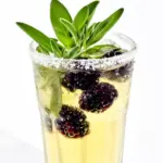 sparkling blackberry sage lemonade - featured image