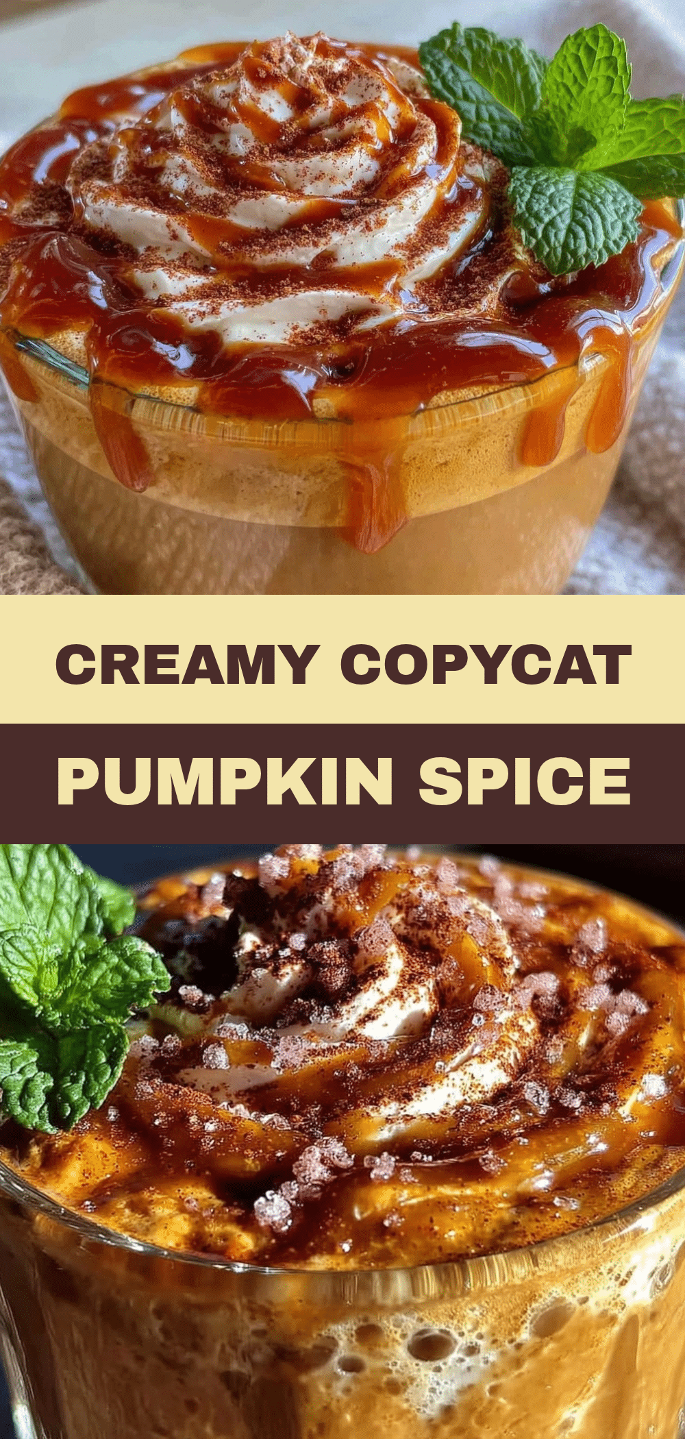 Copycat Pumpkin Spice Latte: Easy Dairy-Free Syrup 5 Copycat Pumpkin Spice Latte recipe
